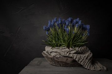 Ländliches Stilleben mit blauen Weintrauben in einer Holzschale mit Leinentuch (horizontal) von Mayra Fotografie