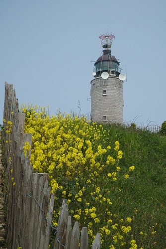 Surrounded by flowers