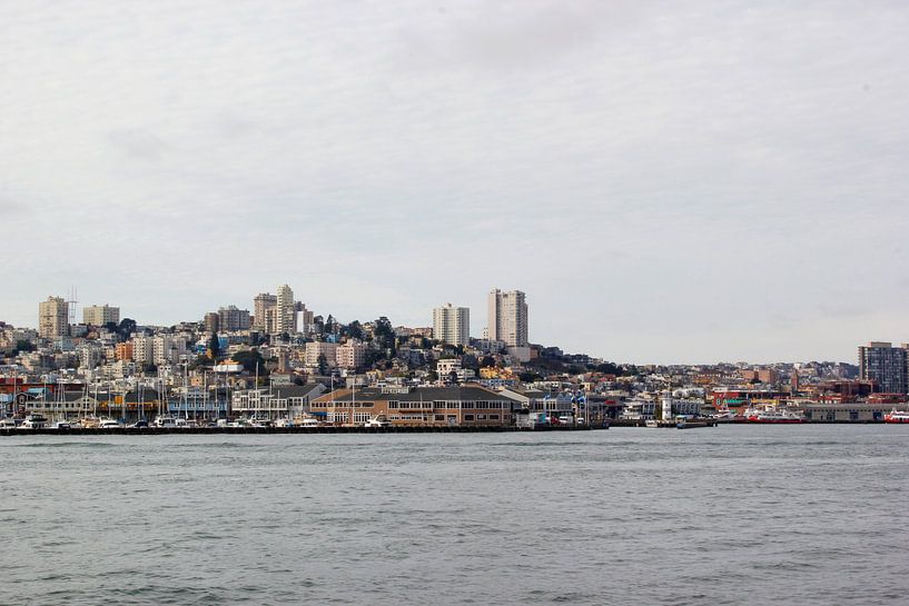  San Francisco skyline van Erik Koks