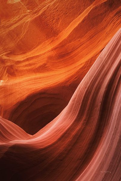 Lower Antelope Canyon V, Alan Majchrowicz by Wild Apple