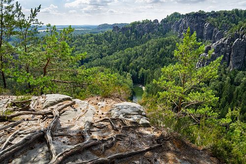 Roots and view of the Amselgrund valley near Rathen