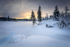 View of the snow-covered Oderteich by Steffen Henze