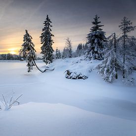 Uitzicht op de besneeuwde Oderteich van Steffen Henze