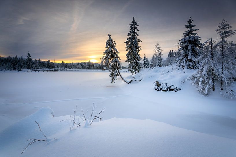 Blick auf dem verschneiten Oderteich von Steffen Henze
