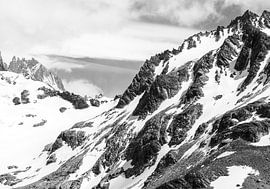 patagonia wild beauty #9 by Rafael Campezato