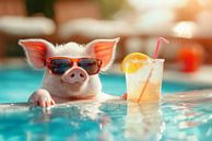 Varken met cocktail in het zwembad van ARTemberaubend thumbnail