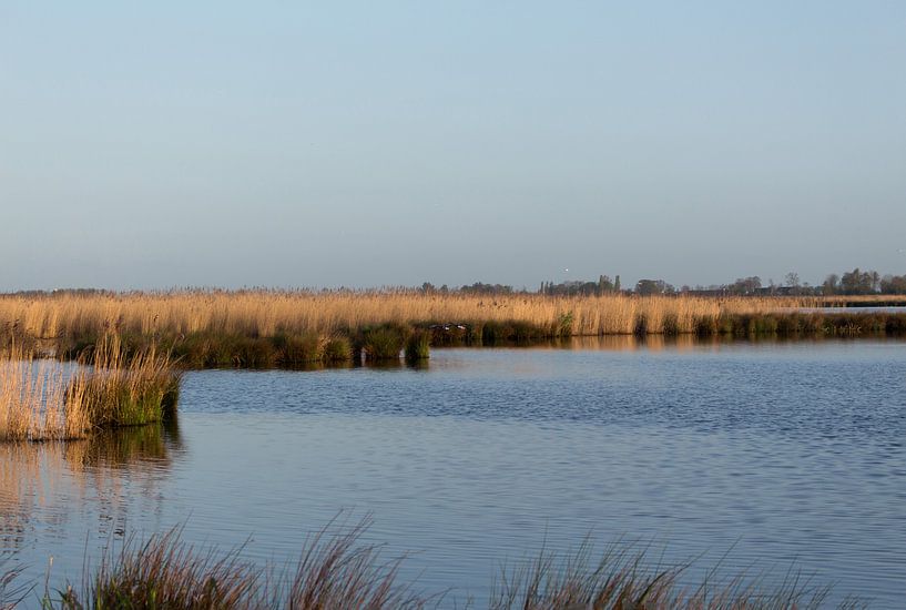 Meer, Nieuwkoopse plassen von Jaap Mulder
