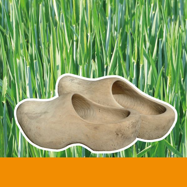 Solo clogs by Irene Polak
