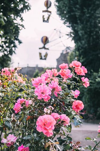 Rozen en Ballonnen