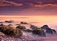 The Gathering II
