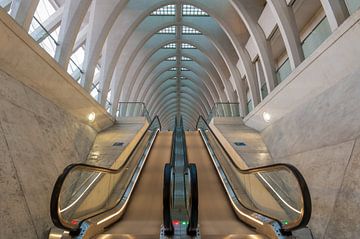Calatravian Escalators by Bert Beckers