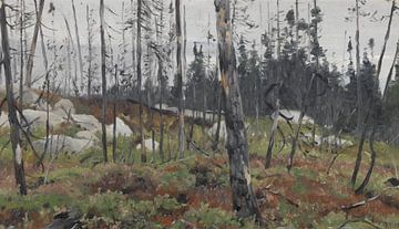 Gemengd bos in Canada, Richard Friese