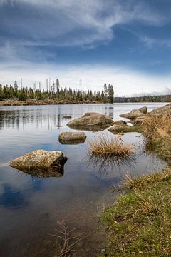 L'Oderteich dans le Harz sur t.ART