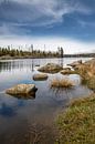 Der Oderteich im Harz von t.ART Miniaturansicht