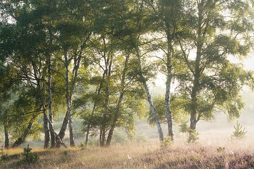 Fijn dat jullie allemaal in de rij staan