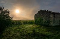 Frühes Sonnenlicht