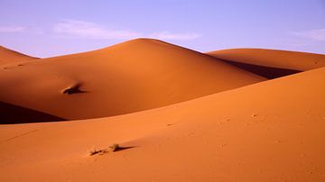 Sahara dans la lumière du soir, Maroc  sur Dirk Huijssoon