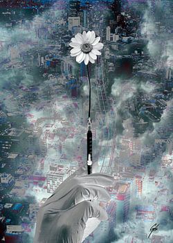 DIE WEISSE BLUME (2021)