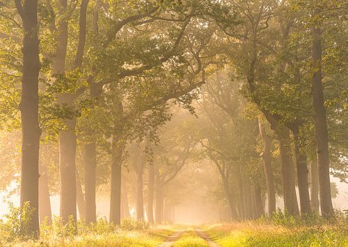 Begin van september