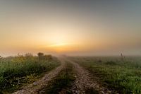 Sunrise in the Onlanden