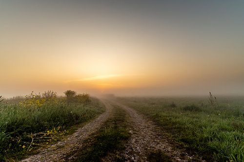 Zonsopgang in de Onlanden