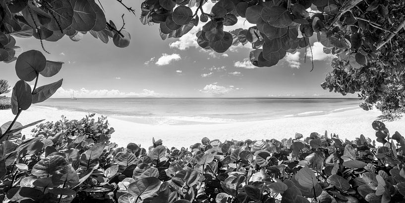 Plage tropicale des Caraïbes noir et blanc par Manfred Voss, Photographie Noir et Blanc