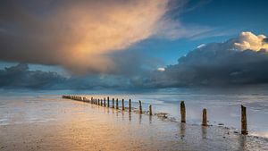 Palenrij op het Wad nabij Wierum van Martijn van Dellen