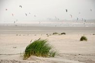Zomer op de Zandmotor van Frans Blok thumbnail