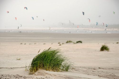 Summer on the Sand Engine