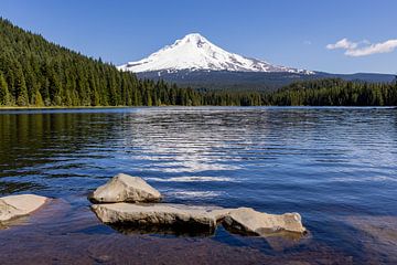 Mt Hood vanaf Trillium Meer, Oregon, Verenigde Staten van Adelheid Smitt