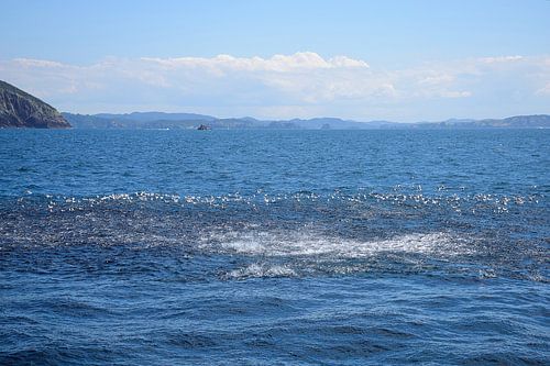 Visgekte bij Mahenotapuku Island