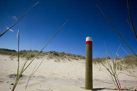 Zet een Paaltje sur Hans Winterink