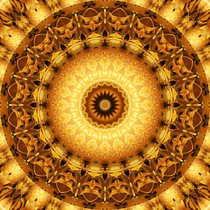 Mandala poussière d'étoiles