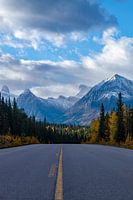 Endless Beauty: Icefields Parkway