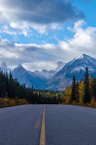 Eindeloze Schoonheid: Icefields Parkway