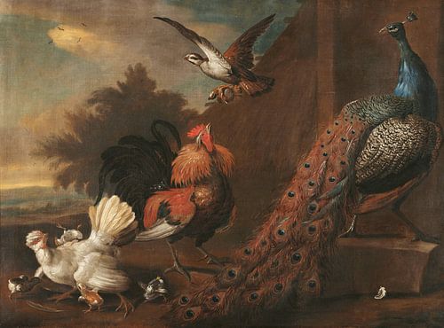 Roofvogel die een kuiken vangt, Melchior d'Hondecoeter