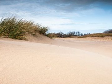 Sand and Wind van David Hanlon