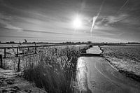 L'hiver dans les polders !