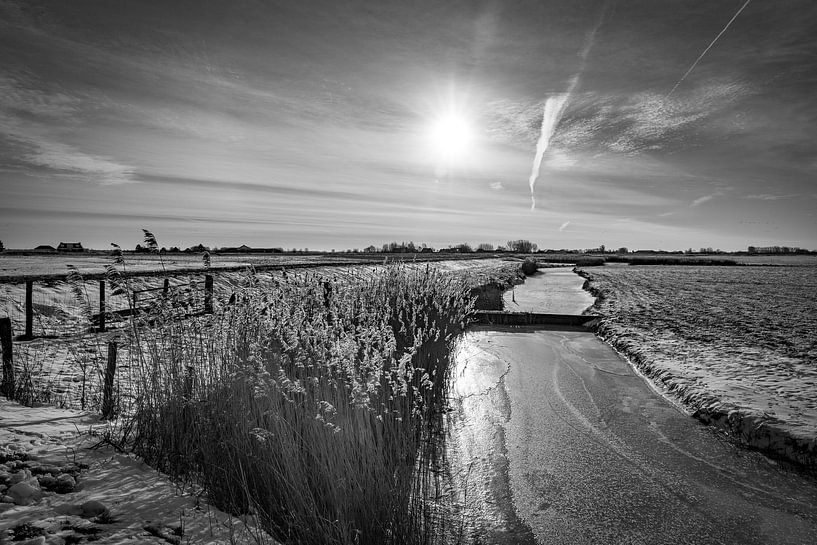 Winter in de polder! van Mariëlle Debrichy