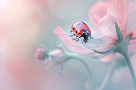 Coccinelle sur Poster Art Shop