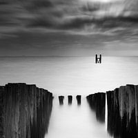 Serene black and white coastal landscape