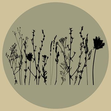 Scandinavian Meadow Minimalist Wildflowers in Sage Green no. 4 by Dina Dankers