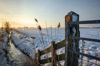 Zonsopkomst in Winterwonderland