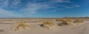 Vuurtoren Eierland Texel nieuwe duinen