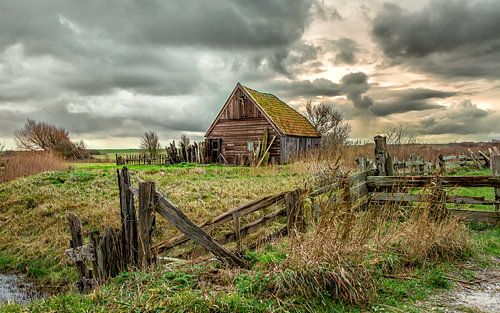 Texels landschap met schapenboet