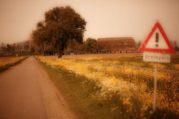 country road in sephia by SchraMedia