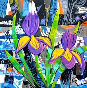 Iris