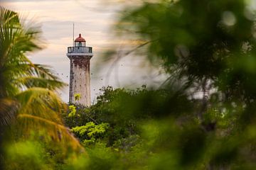 The old lighthouse of Puducherry, South India seen through a group of trees with birds flying by by Robert Ruidl