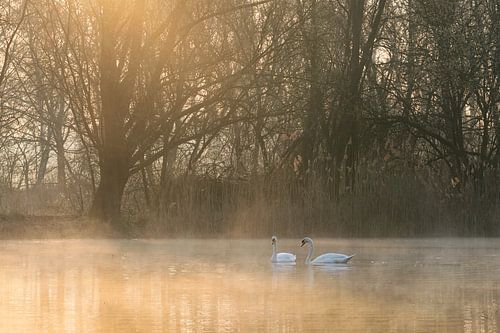 Alte Lippe, Hamm, Rhénanie-du-Nord-Westphalie, Allemagne sur Alexander Ludwig