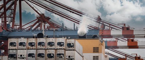 Terminal de conteneurs avec grues portuaires et entrepôts frigorifiques sur Jonas Weinitschke